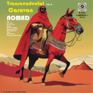 今日旋律: 迷幻非洲冲浪摇滚