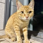 小花花花花花花花花