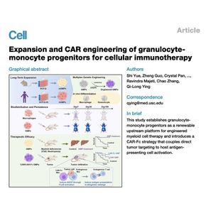1310-GMP Expansion & Engineering for Cellular Immunotherapy