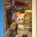 小鱼看齐啦