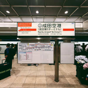 E11 夜游东博,东大散步,看场属于青春的棒球赛 | 日本游记之东京暴走