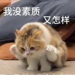鲨仁仁不wink