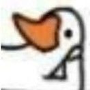 灰扑扑w