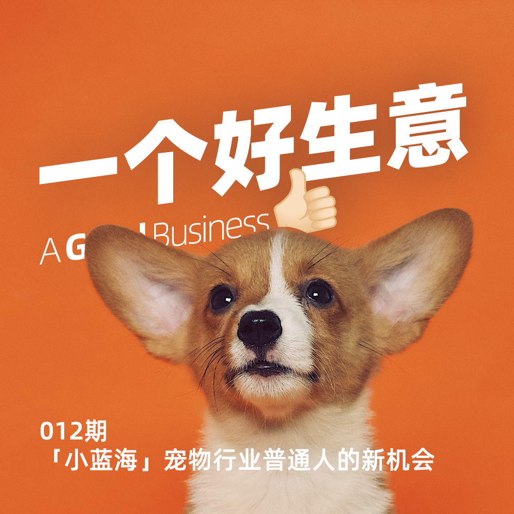 012期:从1元洗狗到800元拔毛,宠物经济暗藏哪些普通人逆袭机会?