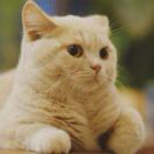 情绪共鸣与传递