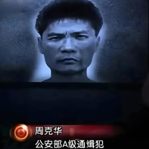 66.「从 “幺儿” 到 “爆头狂魔”：剖析周克华扭曲犯罪之路的惊天蜕变」