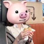 德国养猪计划