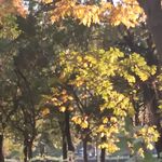 吃遍天下美食哈哈哈