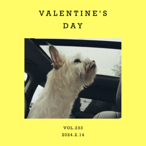 vol.233：爱自己，才是第一要务～