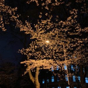 EP9.粤语歌随机分享（emo版）