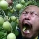 闪电小熊猫