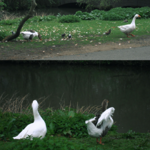 EP4. 实习生和"怨种"我的爱恨情仇