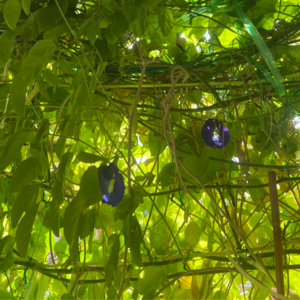 此时情绪此时天，无事小神仙