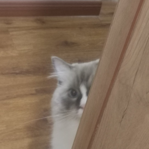 11.关于佛学：对过生日这件事感到悲伤