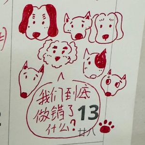 EP16:虐狗只能算“高空抛物”?从山姆打包哥事件聊动物保护立法的困境与出路