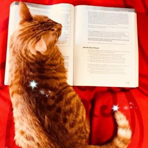 雅思口语Part 1高分语料 | Sitting 坐着