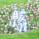 E26. 职场松弛感｜培养大格局，做自己生活的主角