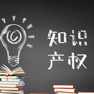 vol.30 - 普法 - 知识产权刑事犯罪