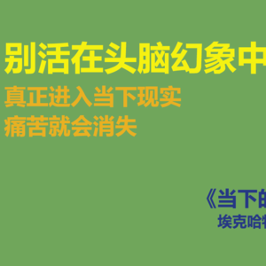 《当下的力量》-如果痛苦正在折磨你