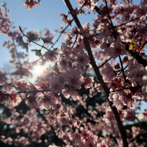 VOL.50 春天来了，我们的身体正在发生什么？