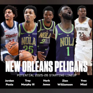 【评分系列】[第10期]西南赛区——鹈鹕