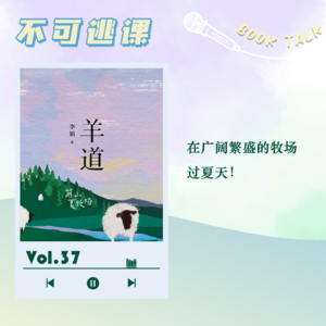 Vol.37《羊道·前山夏牧场》在广阔繁盛的牧场过夏天！