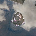 一小块石头