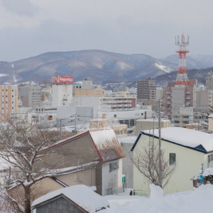 4.0 树懒和猫头鹰的冬日限定歌单分享