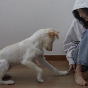圖圖TUTU
