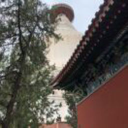 六上语文阅读理解，语文要素答题模板
