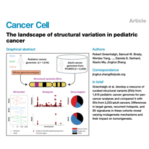 801-儿科癌症结构变异全景图