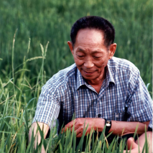 Vol.8 拾光絮语| 袁隆平写给母亲的信