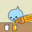 不知名猫猫