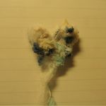 coix-