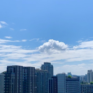 付出一些夏日限定的努力和爱