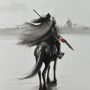 金戈铁马 汉朝大将军的一生(上)
