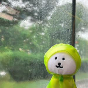 🏝️EP8 🌧️熊 在雨滴中跳舞