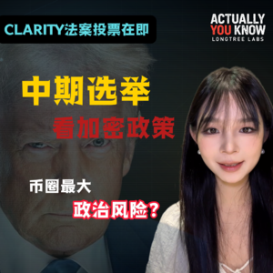美国中期选举会终结区块链行业吗?