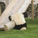 惜昔_6CPK