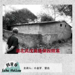 EP02 电视里的求救声 | 湖北武汉曾强保囚禁案