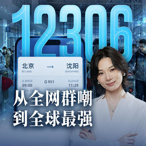 E82.12306，中国最硬核的APP之一【大国之治·12306】