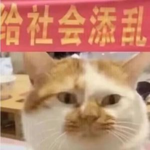 没朋友且单身独居的我是如何走出困境的