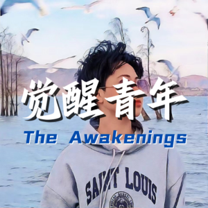 觉醒青年 | 个人成长访谈播客