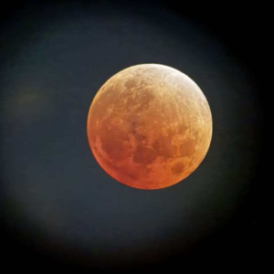 半身像十九期——丙午马年开始啦，伙伴们准备好了吗？