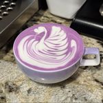 羊羊Purple