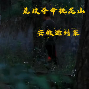 EP57.荒坟夺命桃花山-安徽滁州案