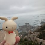 一种人间浪漫的幸福感染