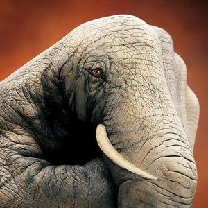 自我意识的边疆