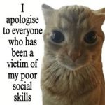勇气呼噜猫