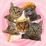 今天你吃饭了吗吗